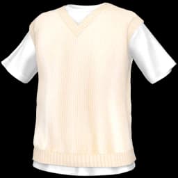 clothes/male/top/2138/15.webp