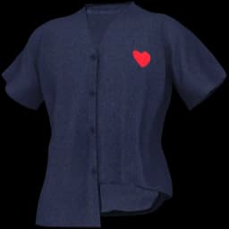 clothes/male/top/2176/13.webp