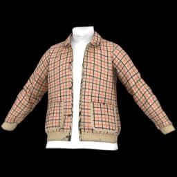 clothes/male/top/2189/5.webp
