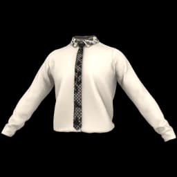 clothes/male/top/2190/120.webp