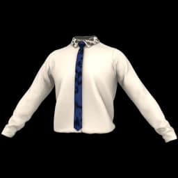 clothes/male/top/2190/75.webp