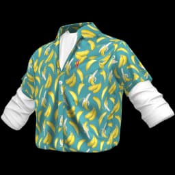 clothes/male/top/2200/10.webp