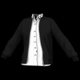 clothes/male/top/2204/4.webp