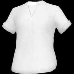 clothes/male/top/2215/1.webp