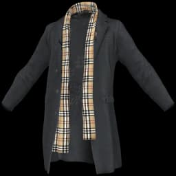 clothes/male/top/2250/13.webp