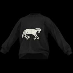 clothes/male/top/2251/9.webp