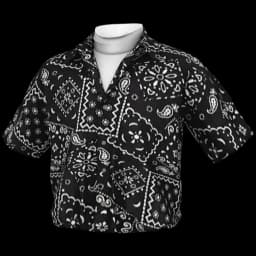 clothes/male/top/2257/6.webp