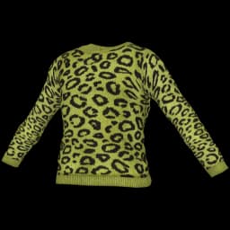 clothes/male/top/2368/0.webp
