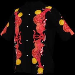 clothes/male/top/2376/5.webp