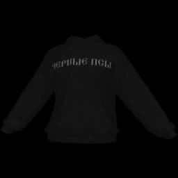 clothes/male/top/2451/8.webp