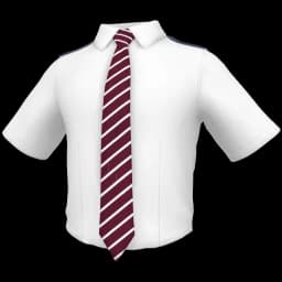 clothes/male/top/2453/1.webp
