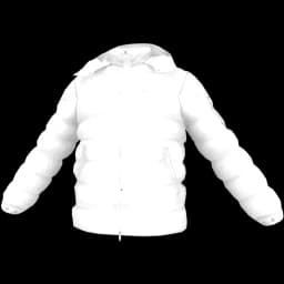 clothes/male/top/2485/0.webp