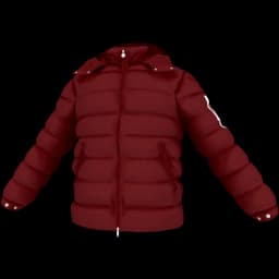 clothes/male/top/2485/5.webp
