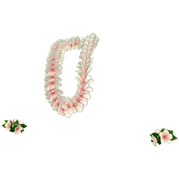 clothes/n2f2u1ejkolqw2q2.png