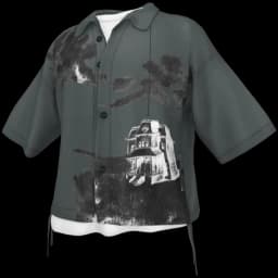 clothes/oe4hzacoh9vprcpz.webp