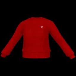 clothes/qpbrtafvs2gs6myu.webp