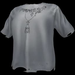 clothes/rw85jkq8sne99rs2.webp