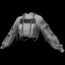 clothes/thd617b9vvehee16.webp