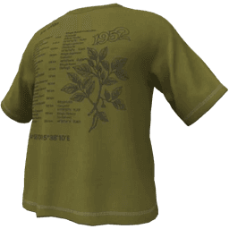 clothes/vp6mm8aivmr0r39g.png