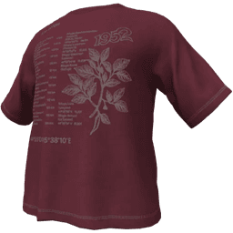 clothes/xl8gvtsisg86olre.png