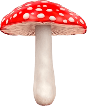 Мухомор