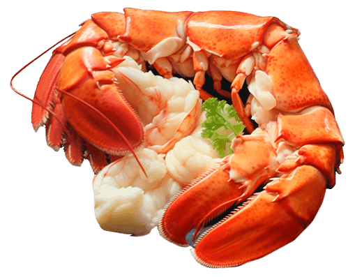 Мясо лобстера